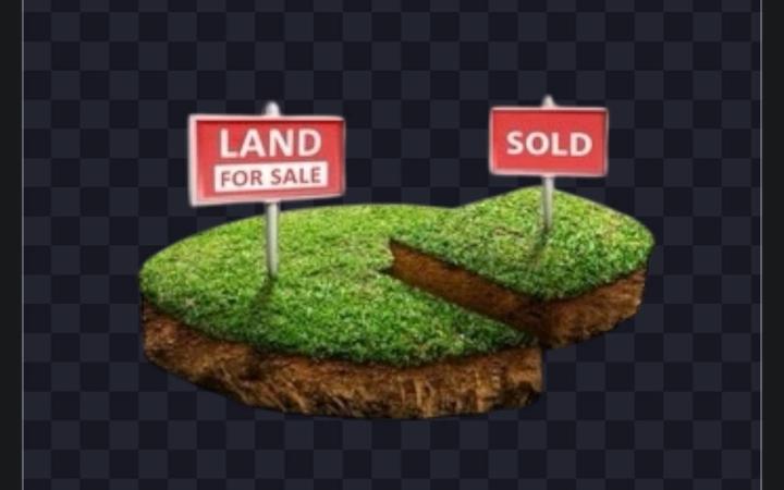 Plot for Sale in Torhayiloch, Addis Ababa | 50M ETB