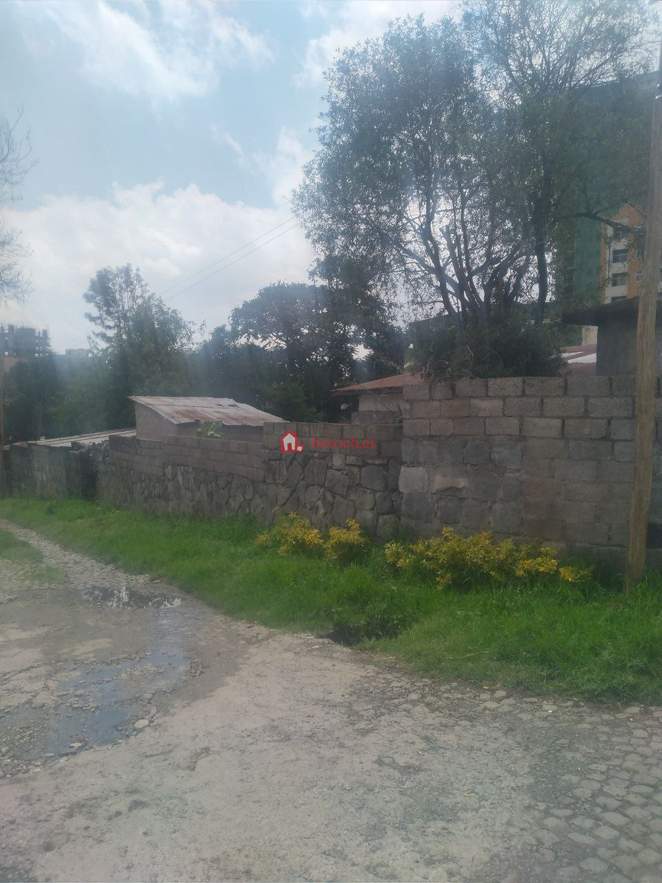 1.Bole Wolo Sefer 1500 m2 Common Place development Detached House