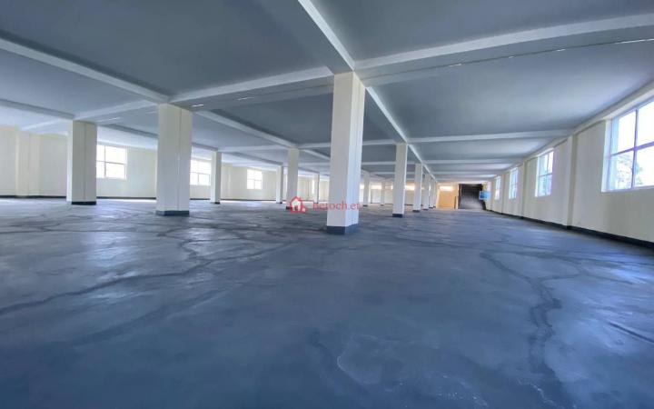 36.Saris 1600 m² multipurpose use were house/Store