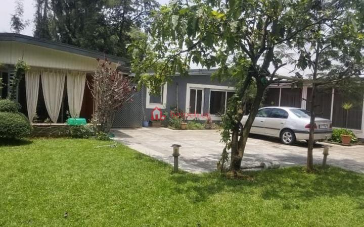 10.Bole Showa dabo 1730 m² Villa House