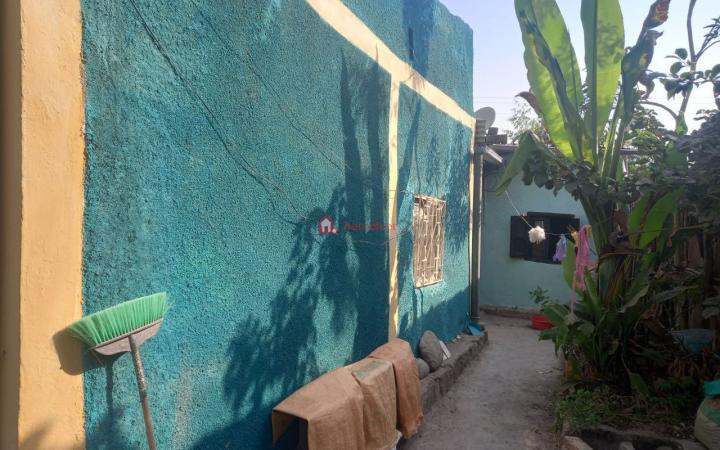 153.Kaliti Selam building 200 m2 an old residence House Detached House