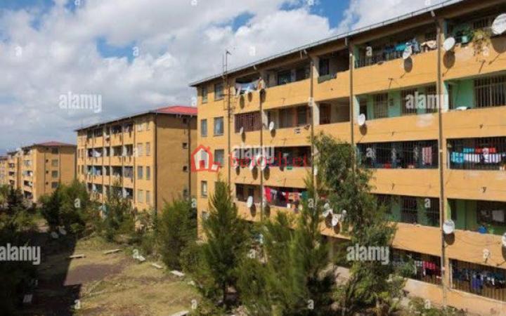 12.Olympia 34 meda 20*80 condominium 55 M² (2) bed rooms 4th floor