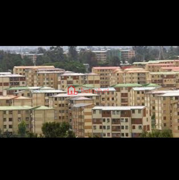 25.Bole Bulbula 20*80 Condo 54 m² One bed room Ground floor