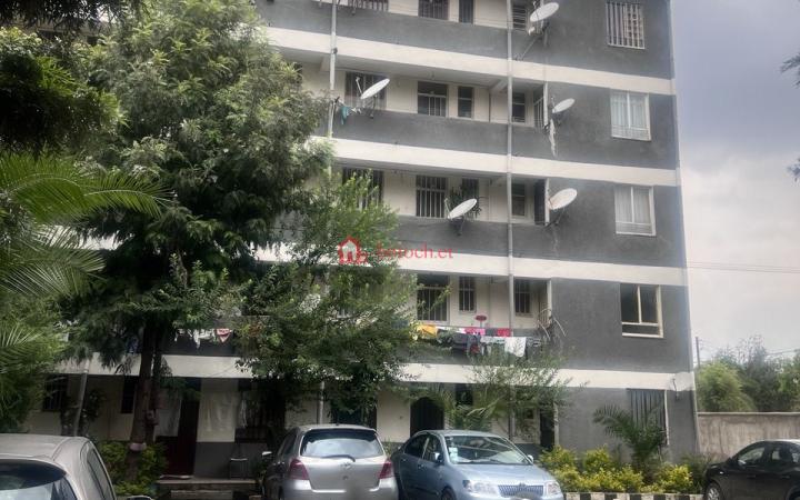 38.Olympia 34 meda 20*80 condos 56 M² 2 bed rooms 4th floor