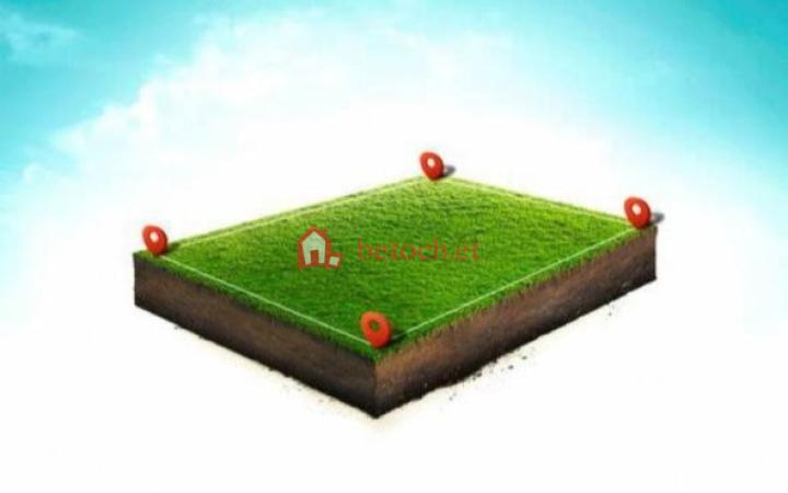 Ayat Diaspora 500 m2 A vacant plot