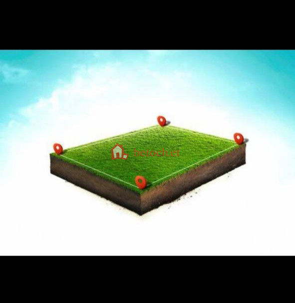 Tafo Sheger City 500 m2 Open plot land