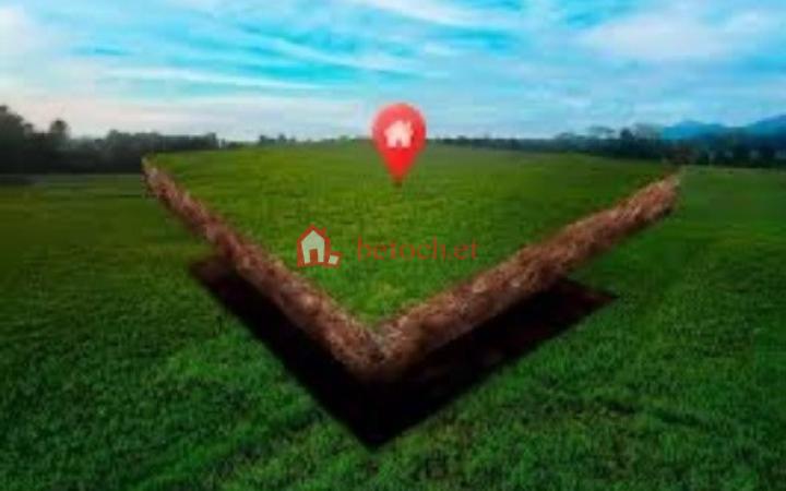 33.Goro Yerer 560 m² Detached house Land
