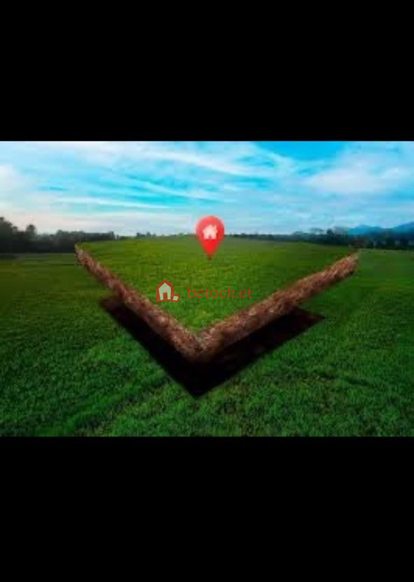 33.Goro Yerer 560 m² Detached house Land