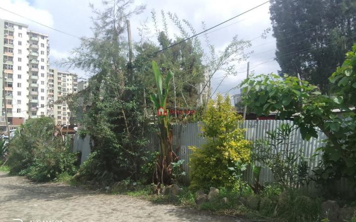 48.Gerije Empereal Hotel 12000 m² Real stat A vacant plot