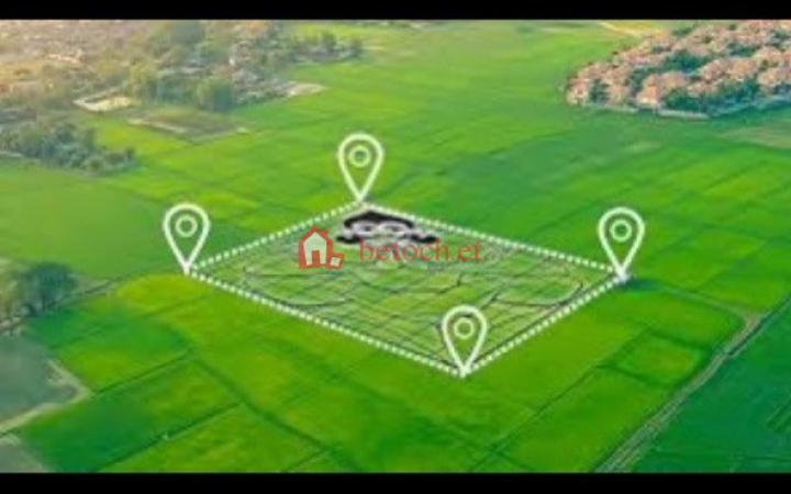 74.Mesiqel flower 650 m² A Vacant Plot