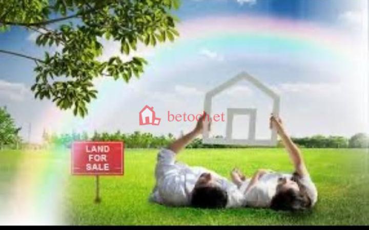 185.22 Mazoria Signal 1002 m² Detached house & Multi purposes plot Land