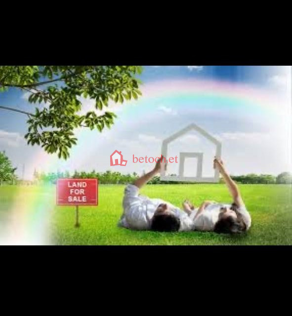 185.22 Mazoria Signal 1002 m² Detached house & Multi purposes plot Land