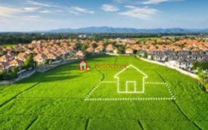 173.22 Mazoria Capital Hotel 802 m² open plot land