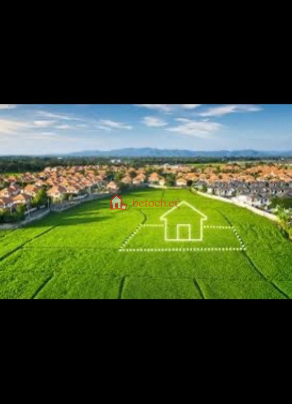 173.22 Mazoria Capital Hotel 802 m² open plot land