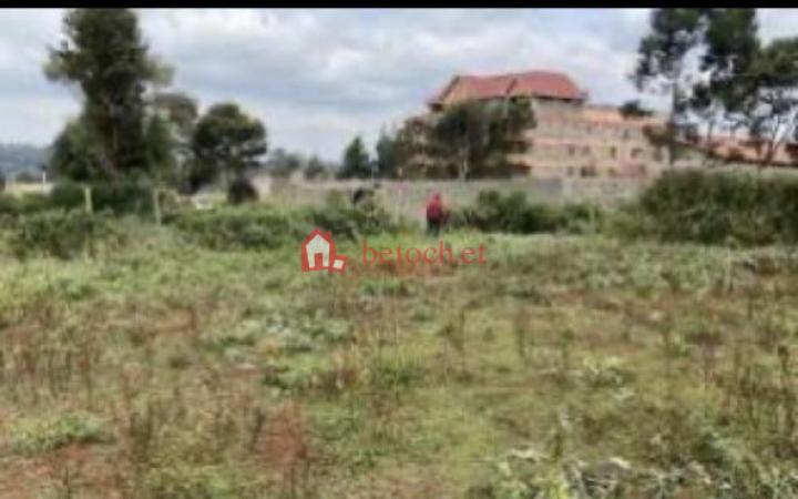 211.TOTAL No.3 mazoriya Alert 200 m2 Detached house