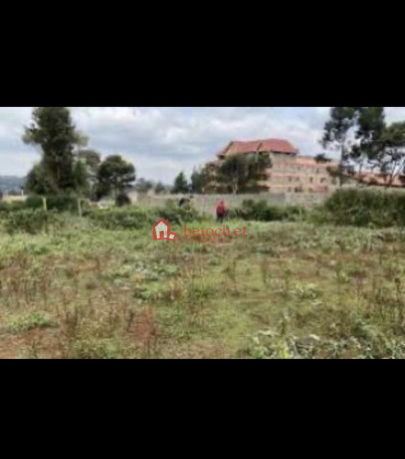 211.TOTAL No.3 mazoriya Alert 200 m2 Detached house