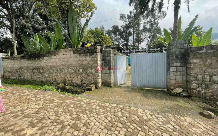 155.Ferensayi legasiyon 431 m² an old House
