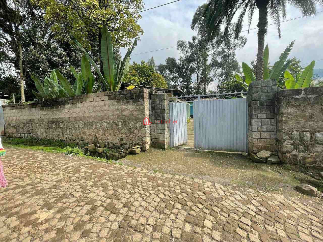 155.Ferensayi legasiyon 431 m² an old House