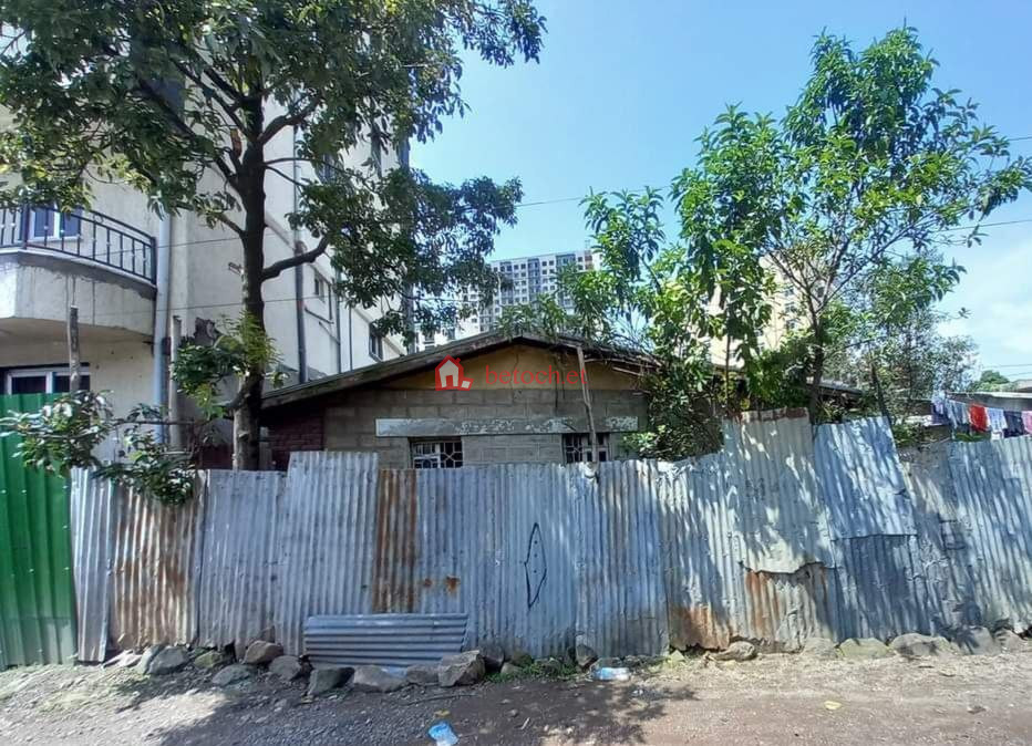 36.Sar-bet 250 m² an old House
