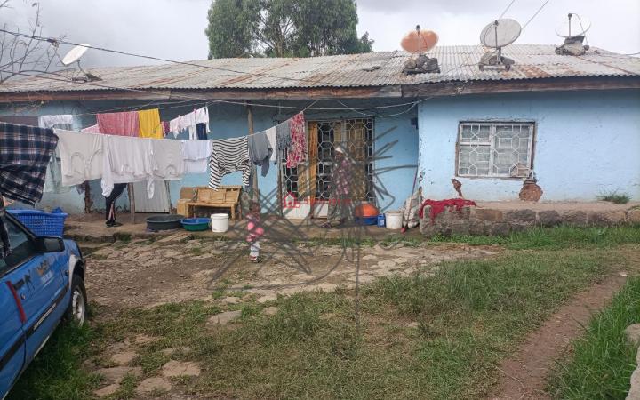 131.An Old house for sale Meri Yetebaberut 700 m² an old House