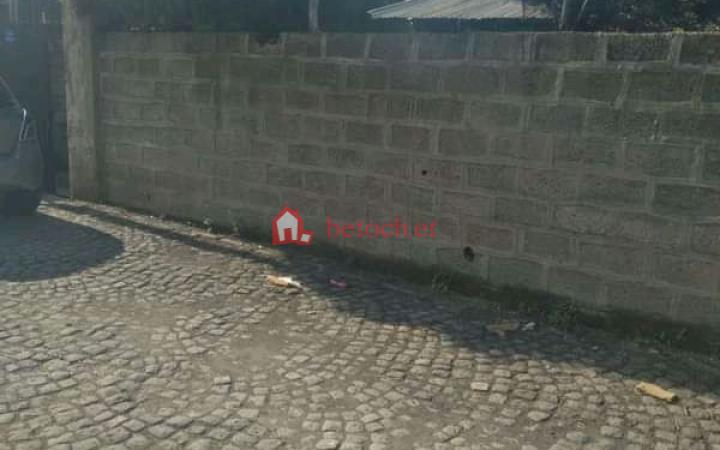 139.Lafto Taxi tera 15 M² an old House (Chiqa bet)