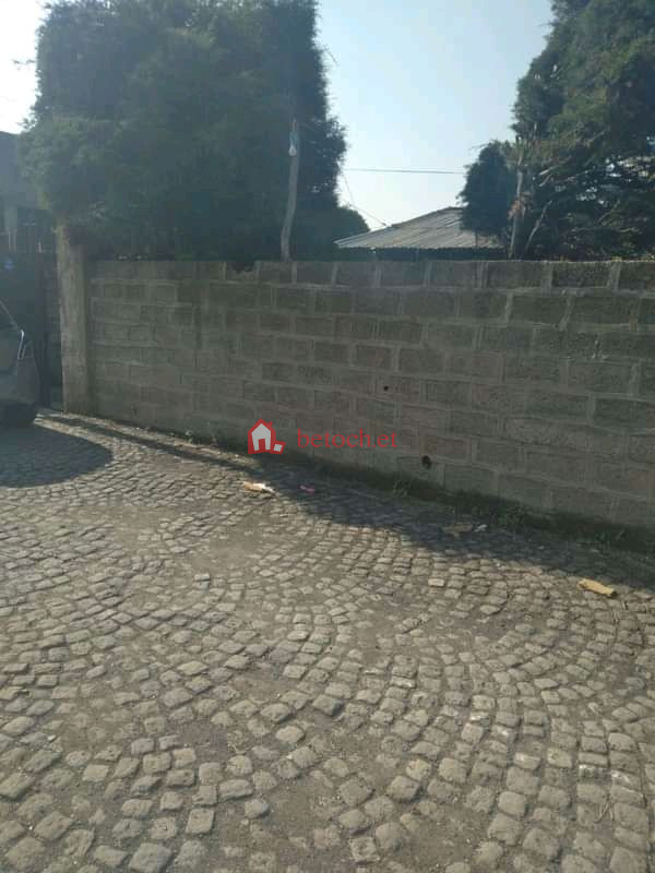 139.Lafto Taxi tera 15 M² an old House (Chiqa bet)