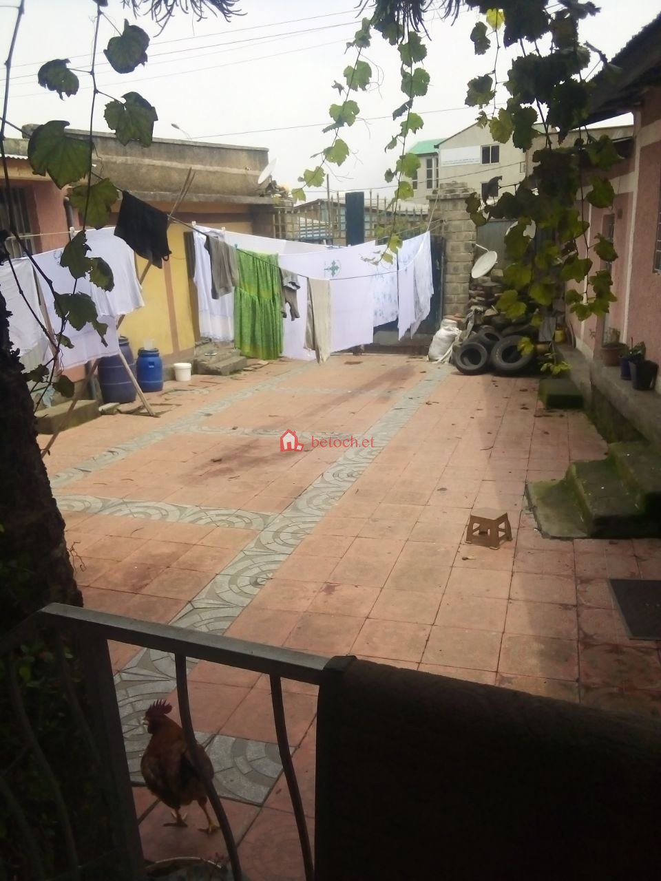 158.Gofa mebirat 600 m² an old House (Chiqa bet)