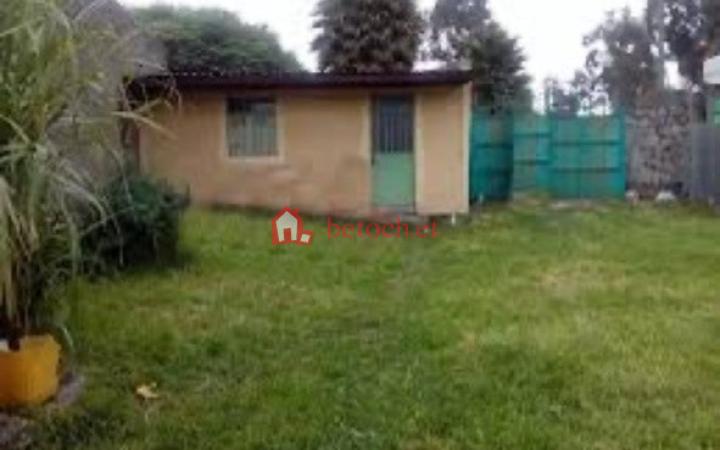 185.Gottera Lancha 1067 m² an old Villa House