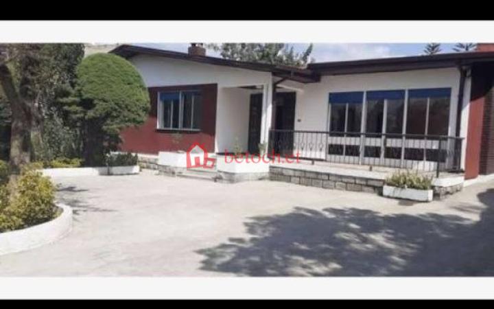 132.Adisu Gebaya 500 m2 An old Villa House
