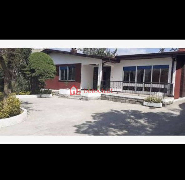 132.Adisu Gebaya 500 m2 An old Villa House