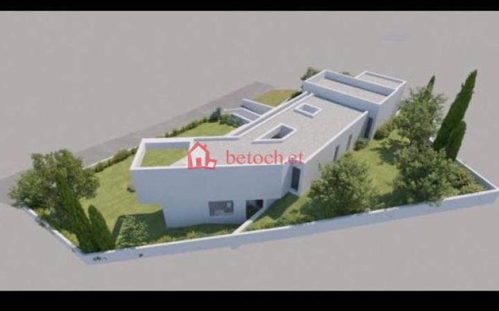 Bole Arabsa 1500 m2 Construction investment Land