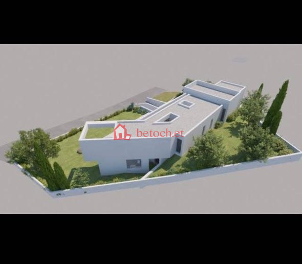 Bole Arabsa 1500 m2 Construction investment Land