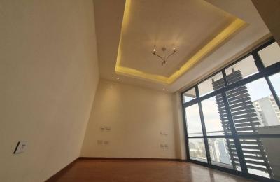 Cozy Apartment in Bole Bras