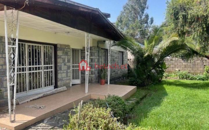 9.Mexico 660 m² Commercial Shop & House restaurant