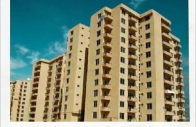 Prime Condominium Shop in Bole Bulbula