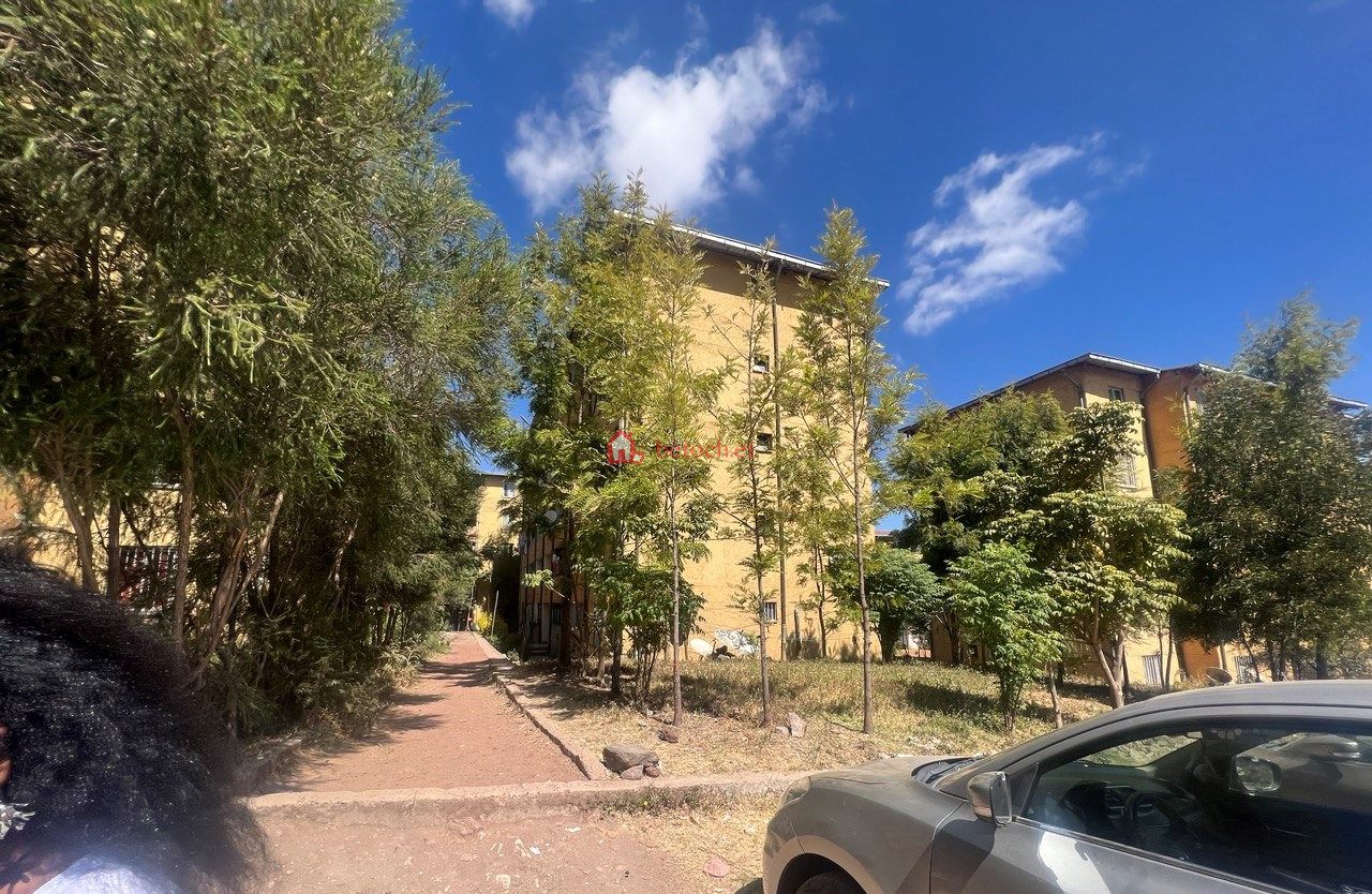 59.Yeka Abado 20*80 condominium 73 m² Two bed Rooms