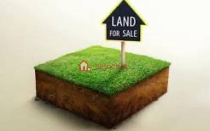 8.Bole Showa Dabo 1730 m² Construction Commercial Areal Land