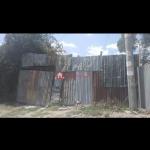 32.Court Yard for Rent Olympia 252 m² L-Shape House