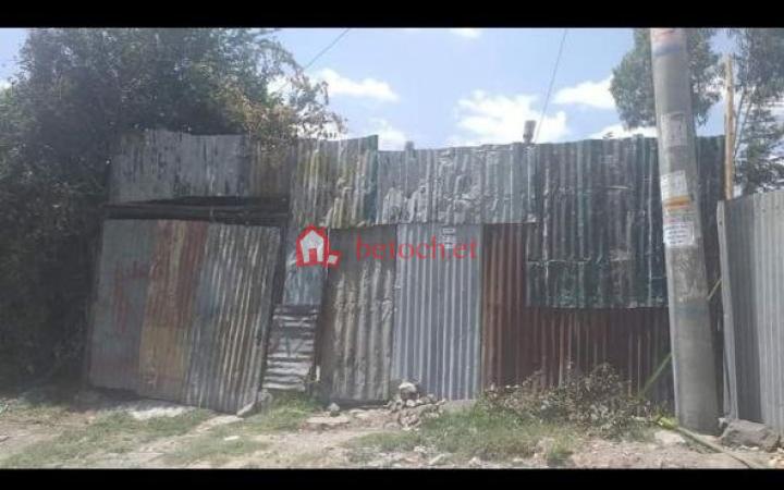 32.Court Yard for Rent Olympia 252 m² L-Shape House