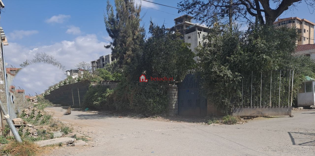 45.22 Mazoriya 500 m2 detached House