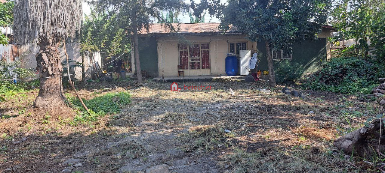 Gotera 500 m2 Detached House