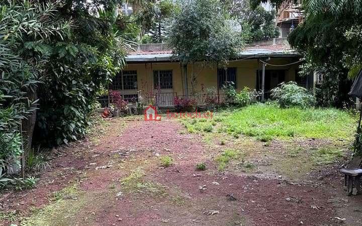 9.Bole printing 500 m² Construction Commercial Areal Land