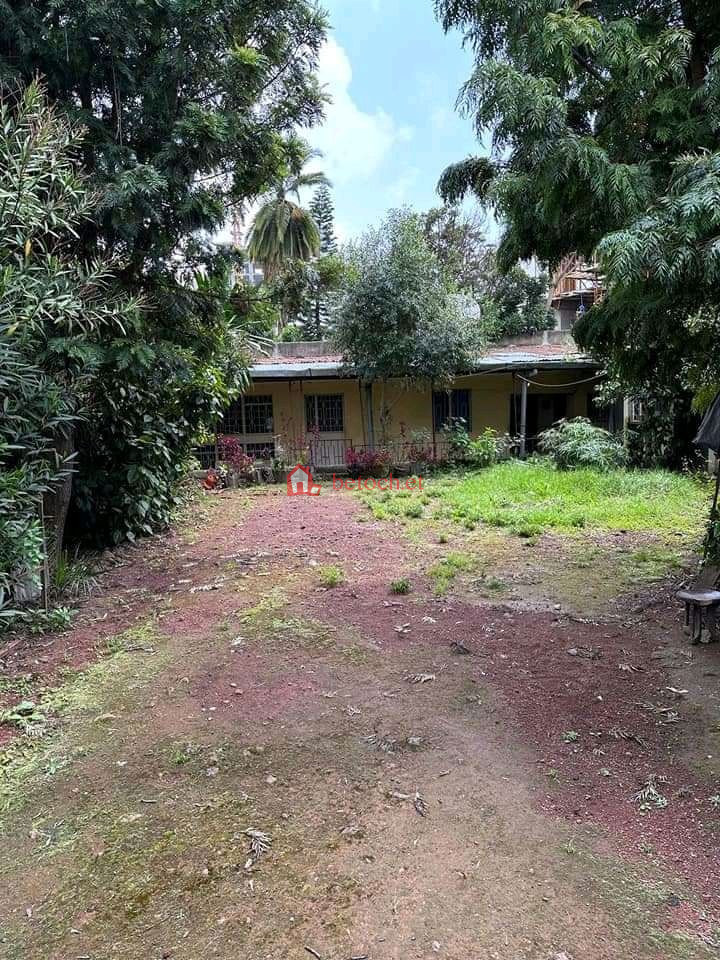 9.Bole printing 500 m² Construction Commercial Areal Land