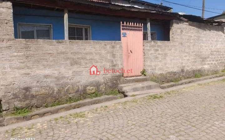 Coca 230 m² an old villa Detached House