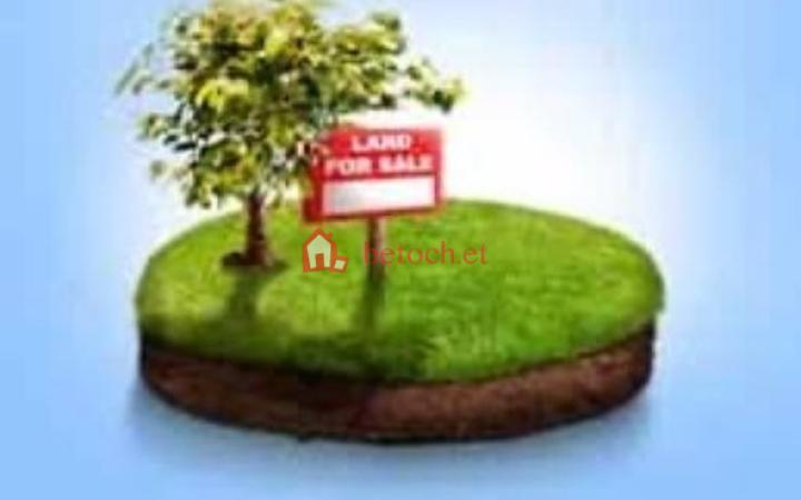 10.Bole Gazebo-Mesiqel flower 105.6 m2 Detached house Land