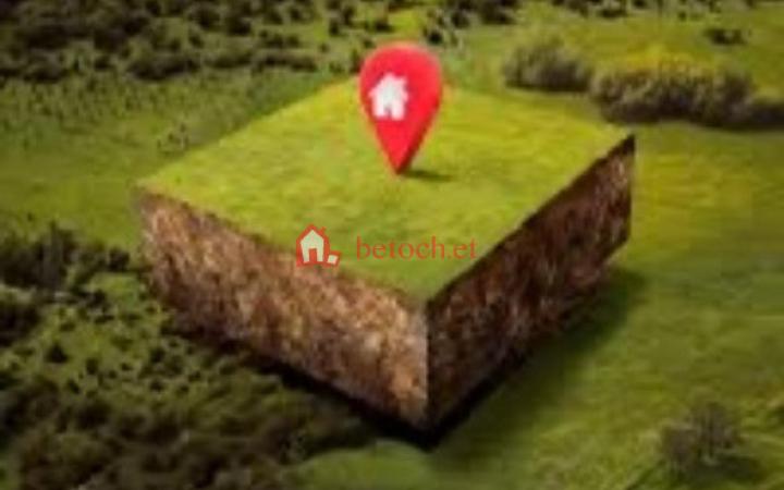 25.kera Sofia mall 460 m² Detached house Land