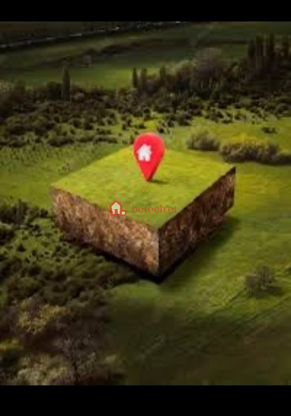 25.kera Sofia mall 460 m² Detached house Land