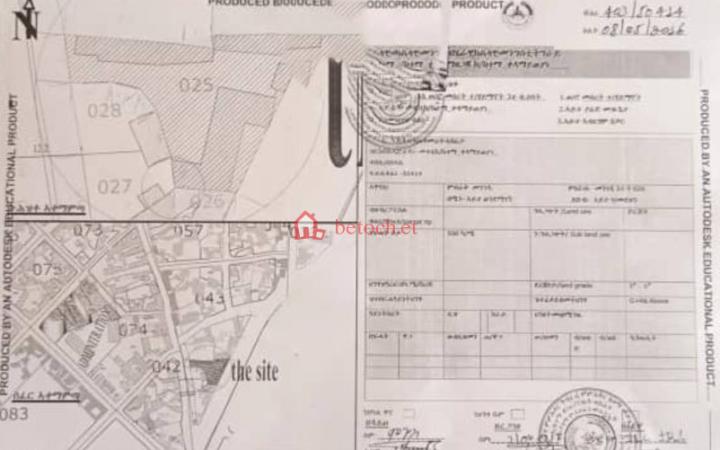 253.Mekele Bus Station (Milano Hotel) 500 m2 Detached House or land