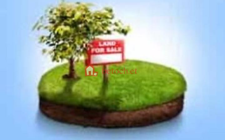 52.Sar bet 428 m² Detached House or Plot