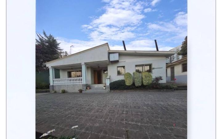 Prime Detached House Plot in Bole